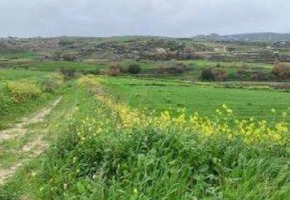 Stroumbi, Paphos Agricultural Land For Sale | DT3303