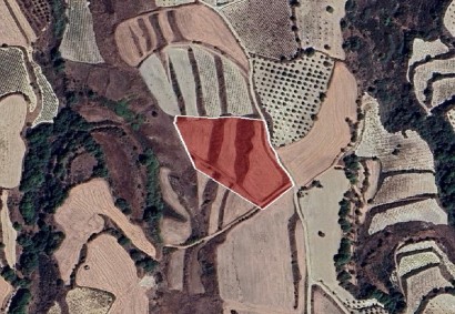 Stroumbi, Paphos Agricultural Land For Sale | DT3303