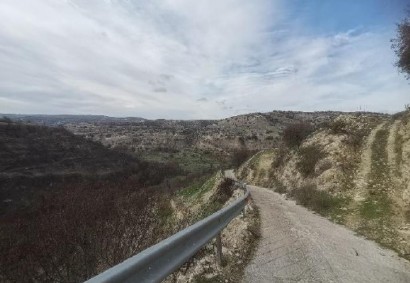 Choulou, Paphos Agricultural Land For Sale | DT3322