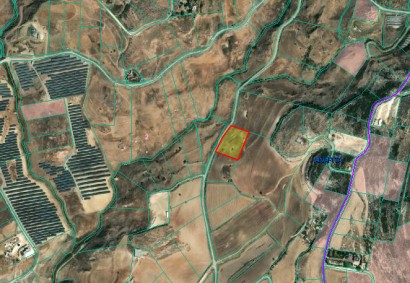 Anarita, Paphos Agricultural Land For Sale | DT3345