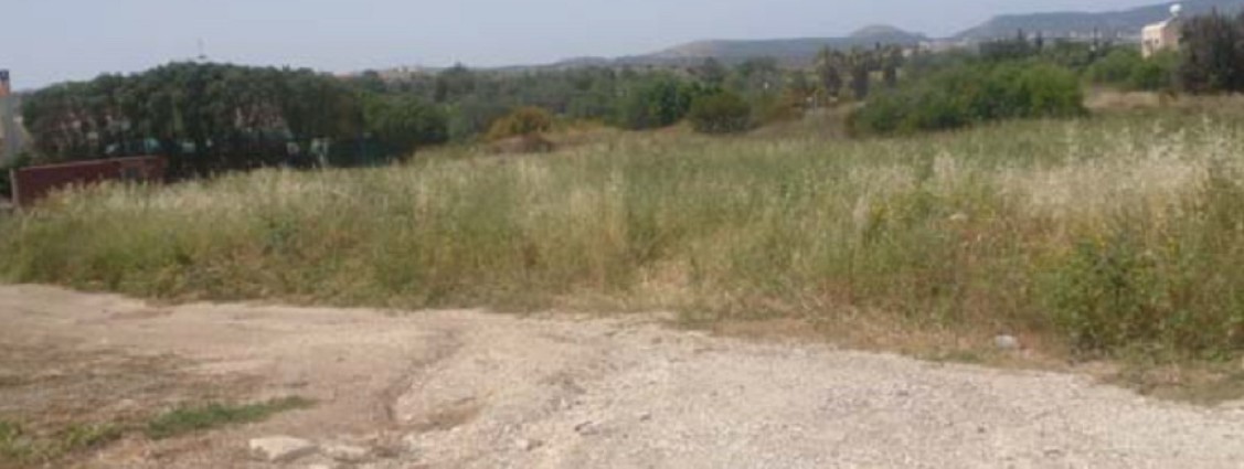 Residential Land For Sale  in  Prodromi