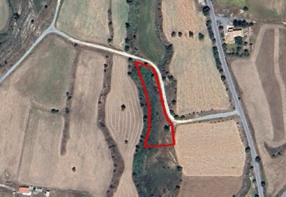 Anarita, Paphos Residential Land For Sale | DT3411