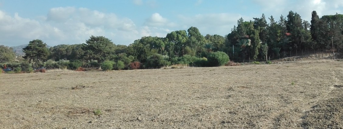 Agricultural Land For Sale  in  Poli Crysochous