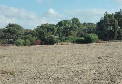 Poli Crysochous, Paphos Agricultural Land For Sale | DT3412