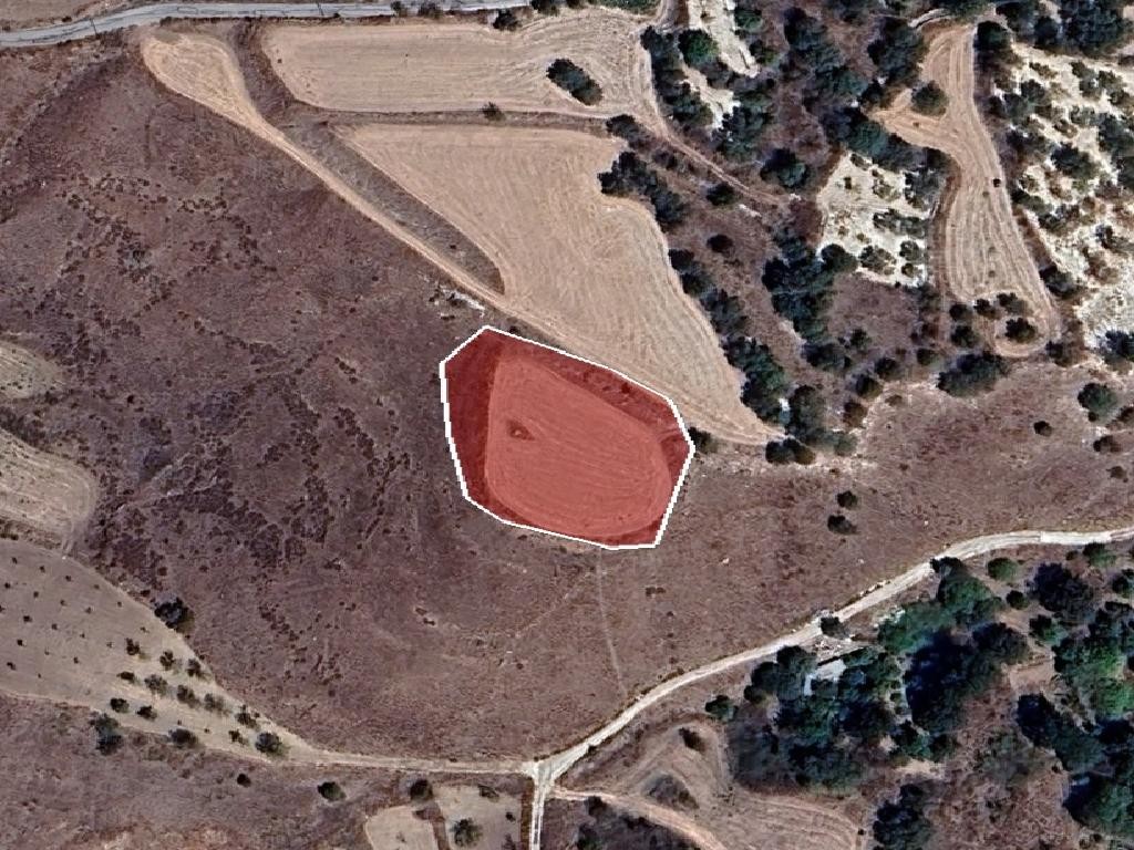 Thrinia, Paphos Agricultural Land For Sale | DT3463