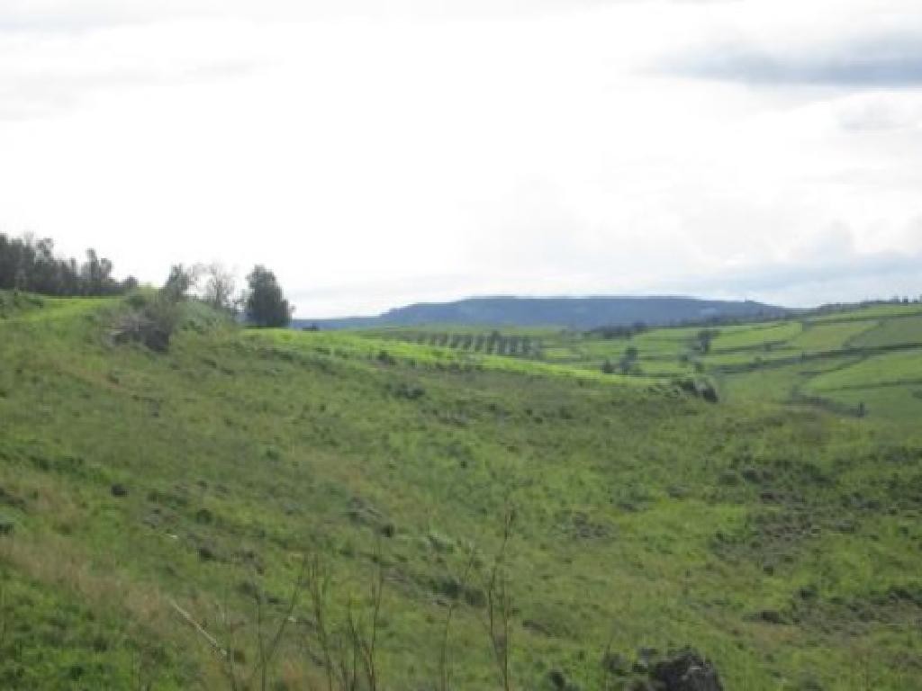 Agricultural Land For Sale  in  Thrinia