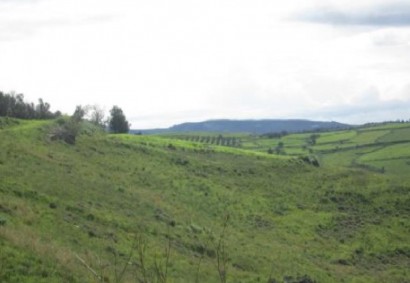 Thrinia, Paphos Agricultural Land For Sale | DT3463