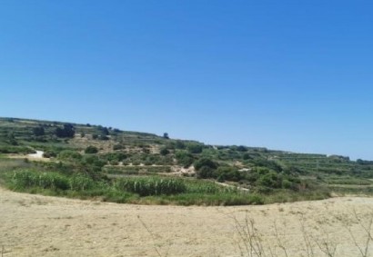Stroumbi, Paphos Agricultural Land For Sale | DT3511