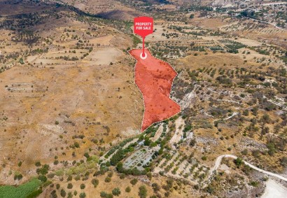 Episkopi, Paphos Agricultural Land For Sale | DT3538