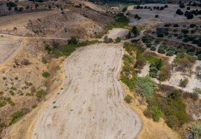 Episkopi, Paphos Agricultural Land For Sale | DT3538