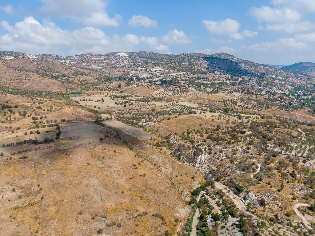 Field - Episkopi, Paphos