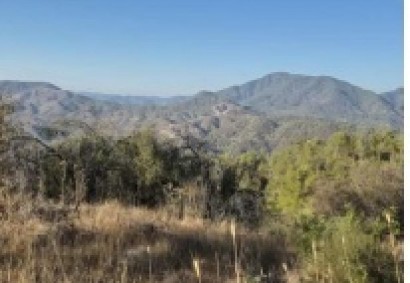 Kynousa, Paphos Residential Land For Sale | DT3663