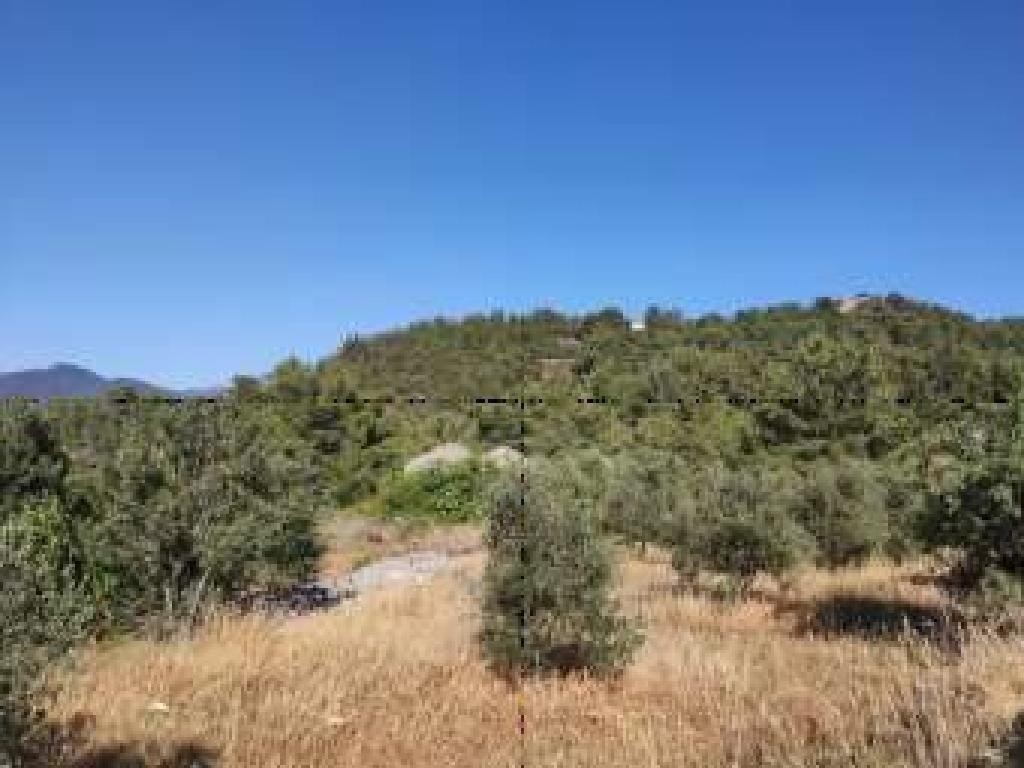 Field - Kinousa, Paphos