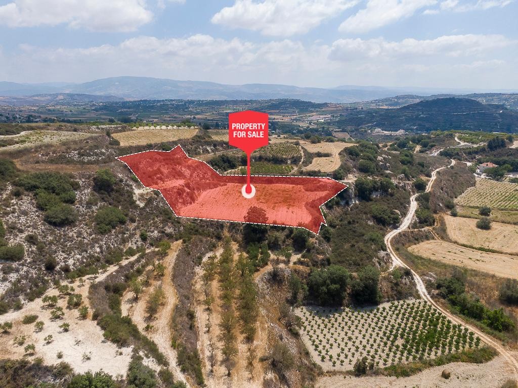 Stroumbi, Paphos Agricultural Land For Sale | DT3673