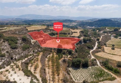 Stroumbi, Paphos Agricultural Land For Sale | DT3673