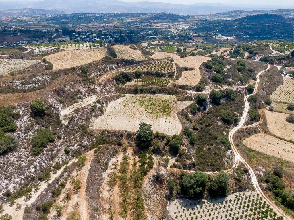 Field - Stroumpi, Paphos