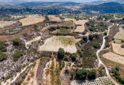 Stroumbi, Paphos Agricultural Land For Sale | DT3673