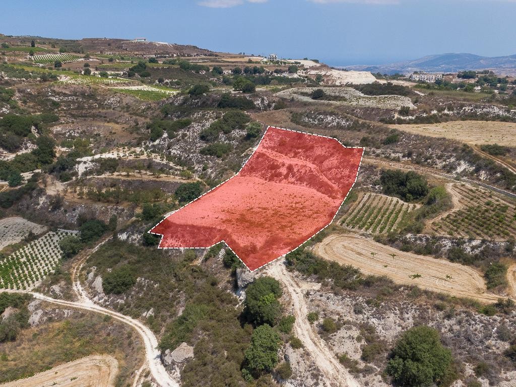 Field - Stroumpi, Paphos