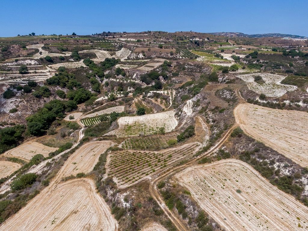 Field - Stroumpi, Paphos