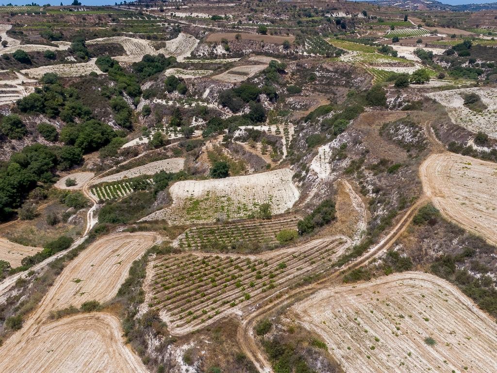 Field - Stroumpi, Paphos