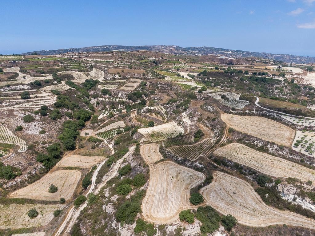 Field - Stroumpi, Paphos