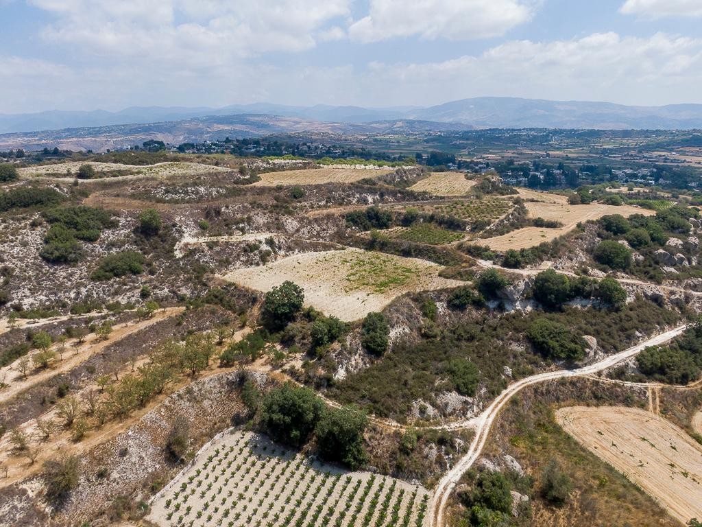 Field - Stroumpi, Paphos