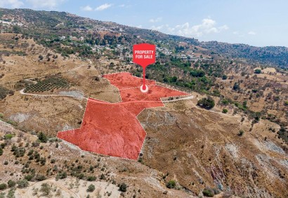 Kelokedara, Paphos Agricultural Land For Sale | DT3674