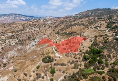 Kelokedara, Paphos Agricultural Land For Sale | DT3674