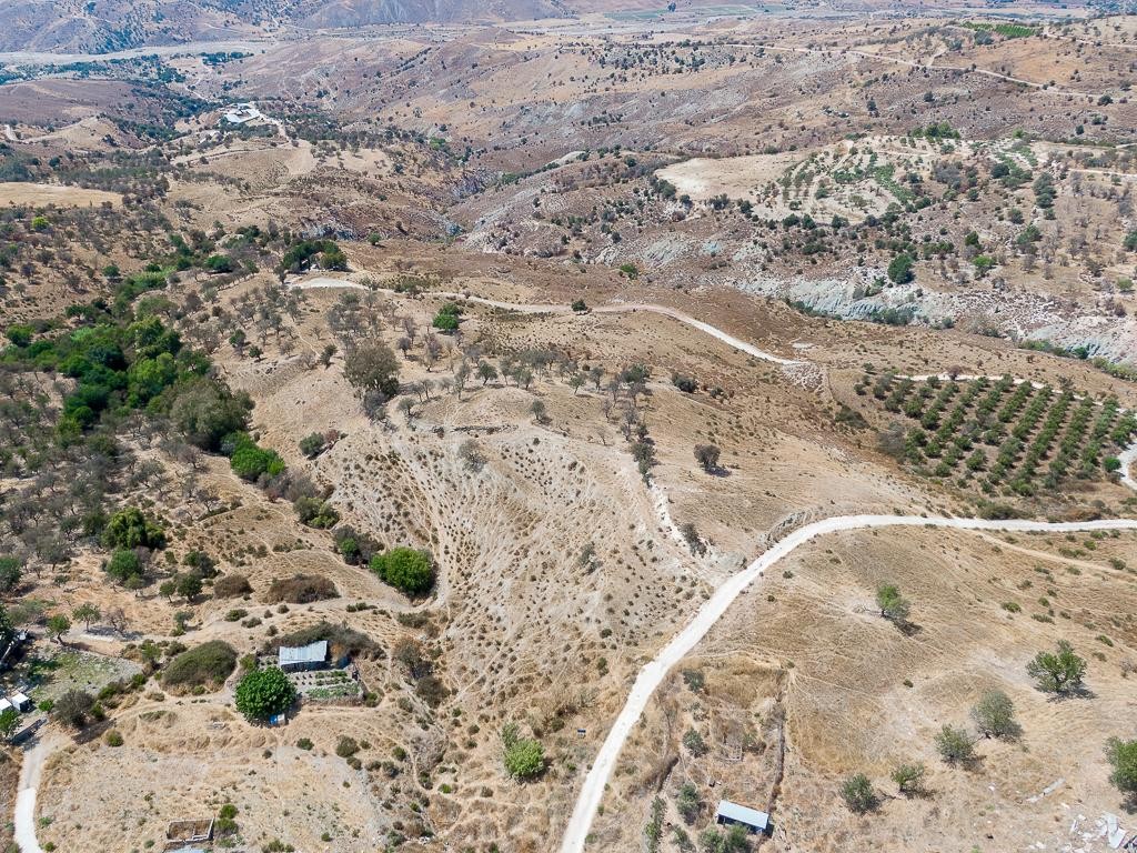 Field - Kelokedara, Paphos