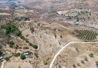 Kelokedara, Paphos Agricultural Land For Sale | DT3674