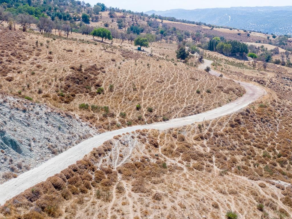 Field - Kelokedara, Paphos