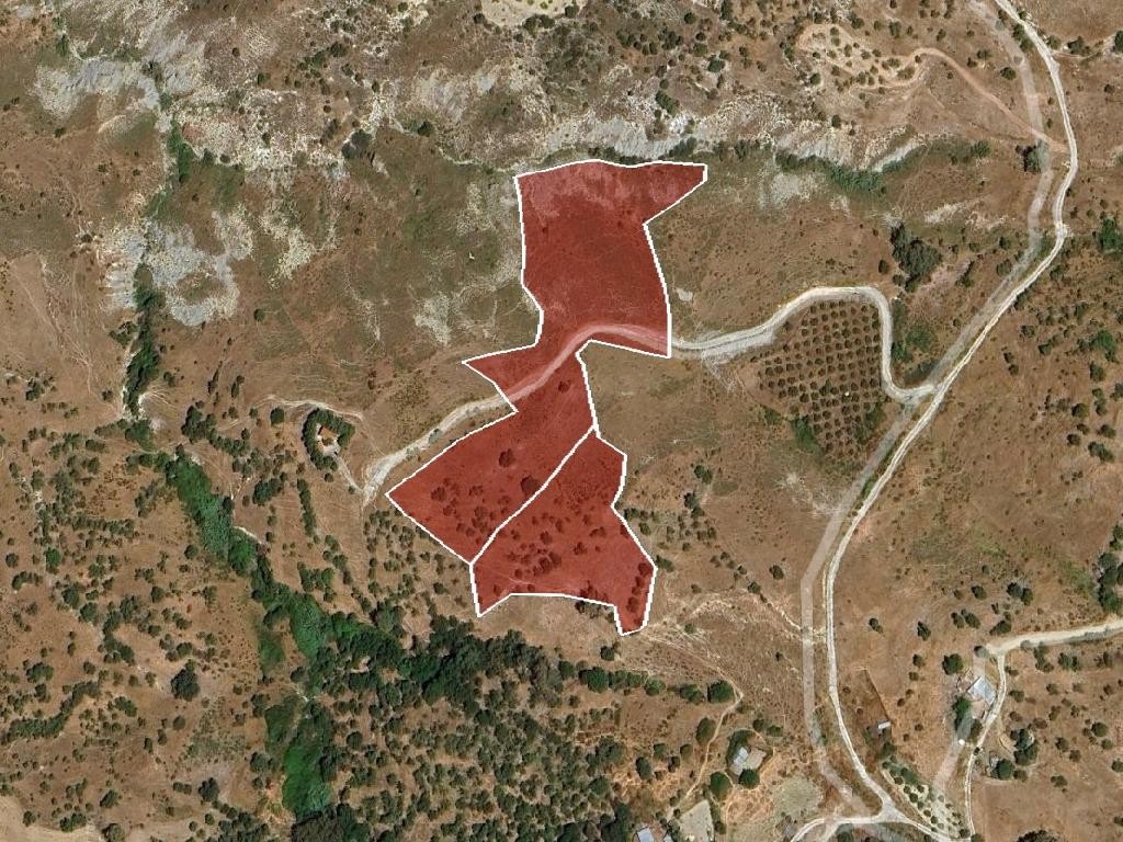 Field - Kelokedara, Paphos
