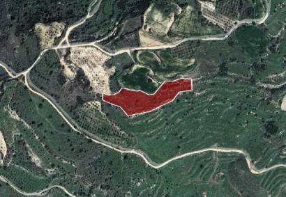Marathounta, Paphos Agricultural Land For Sale | DT3776