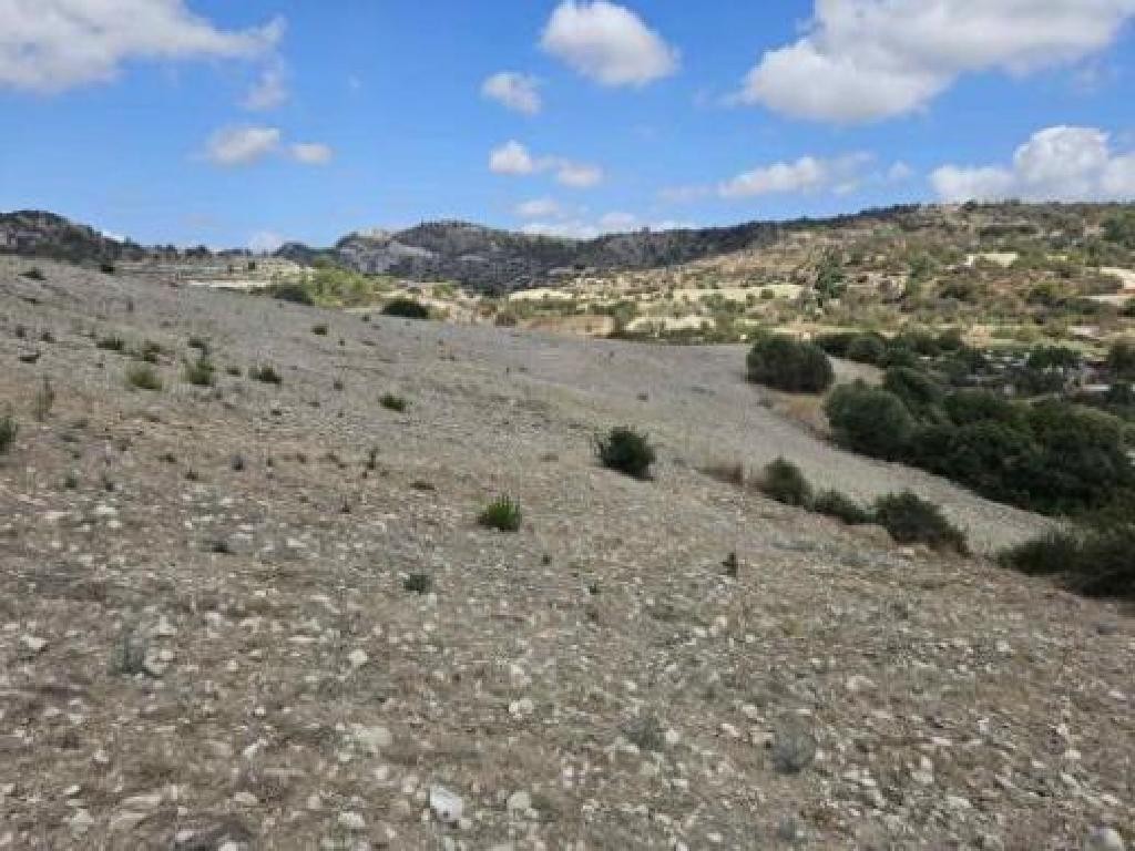 Amargeti, Paphos Agricultural Land For Sale | DT3777