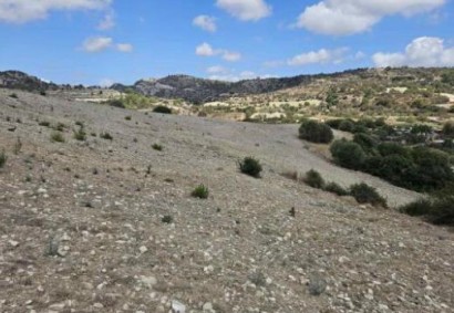 Amargeti, Paphos Agricultural Land For Sale | DT3777