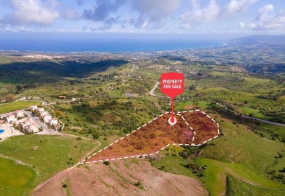 Drouseia, Paphos Agricultural Land For Sale | DT3779