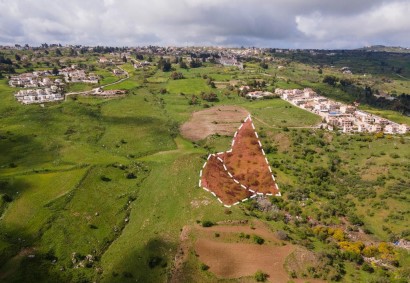 Drouseia, Paphos Agricultural Land For Sale | DT3779