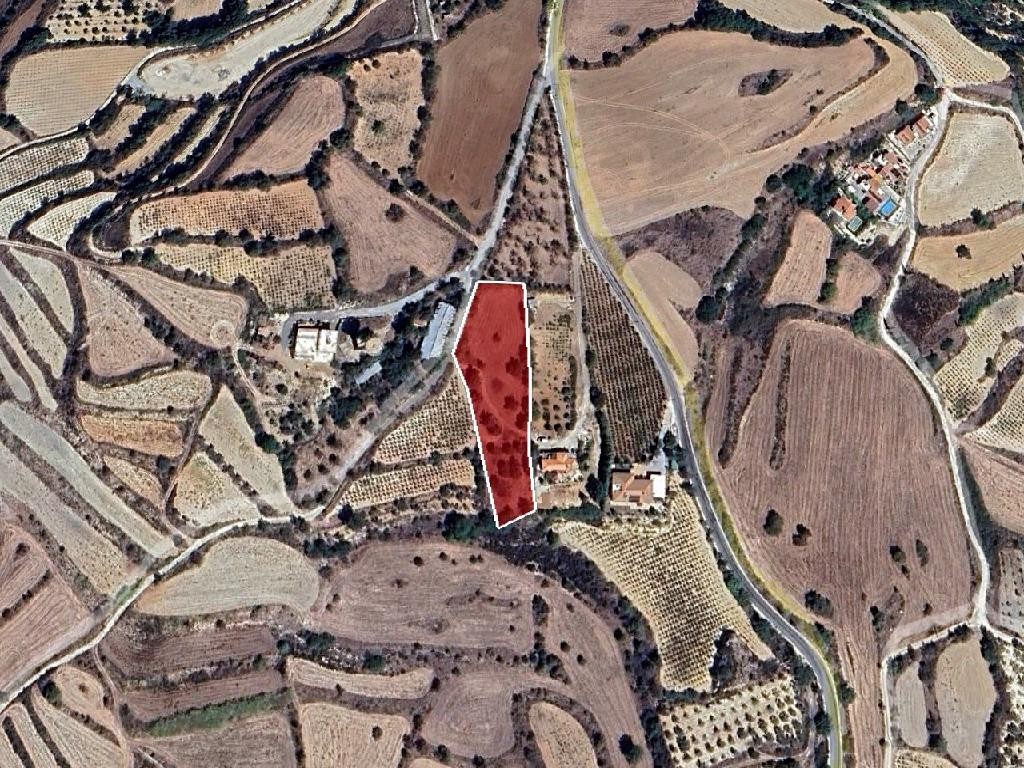 Field - Polemi, Paphos