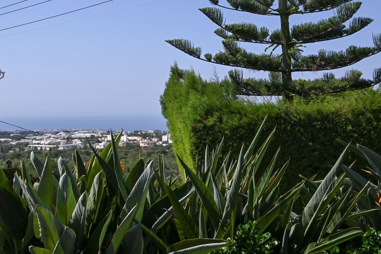 IMG-10296-10296-9