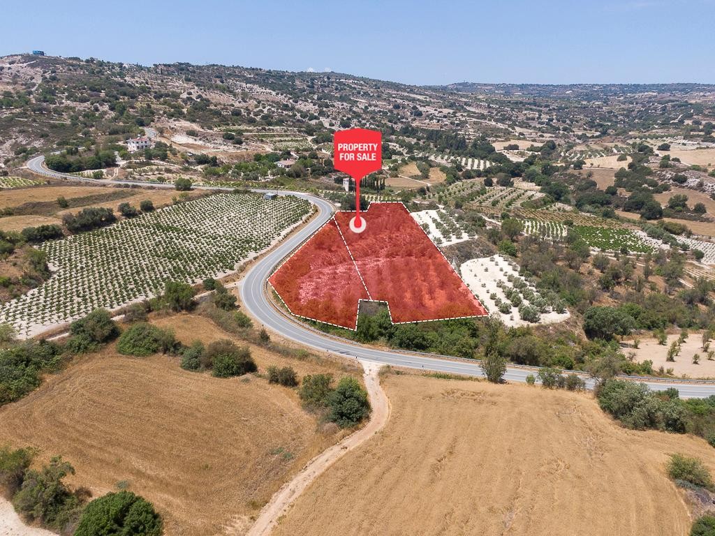 Letymbou, Paphos Agricultural Land For Sale | DT3815