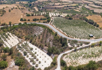 Letymbou, Paphos Agricultural Land For Sale | DT3815