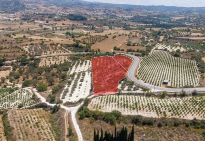Letymbou, Paphos Agricultural Land For Sale | DT3815