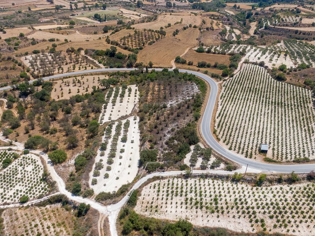 Field - Letymvou, Paphos