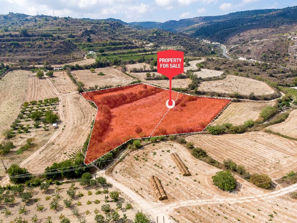 Stroumbi, Paphos Agricultural Land For Sale | DT3816