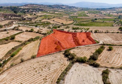 Stroumbi, Paphos Agricultural Land For Sale | DT3816