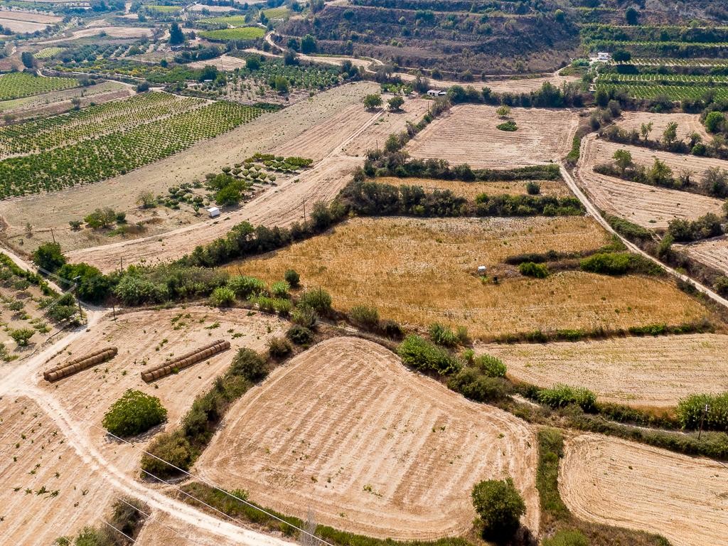 Field - Stroumpi, Paphos