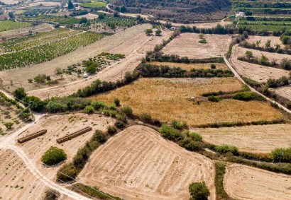 Stroumbi, Paphos Agricultural Land For Sale | DT3816