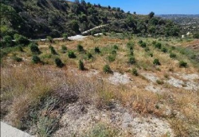 Psathi, Paphos Agricultural Land For Sale | DT3819