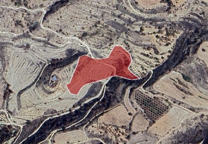 Psathi, Paphos Agricultural Land For Sale | DT3819