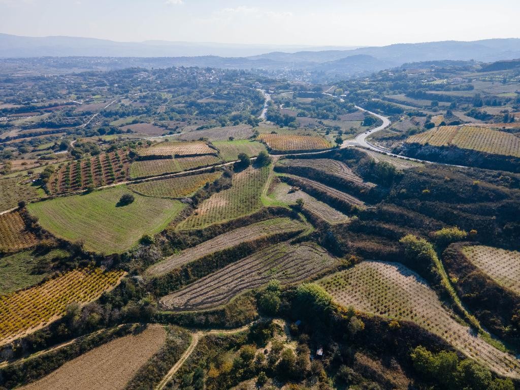 Stroumbi, Paphos Agricultural Land For Sale | DT3820